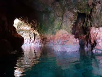 Peniche: Berlengas Roundtrip and Glass-Bottom Boat Cave Tour