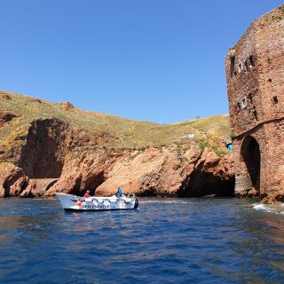 Peniche: Berlengas Roundtrip and Glass-Bottom Boat Cave Tour