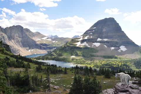 West Glacier: Moped Rental