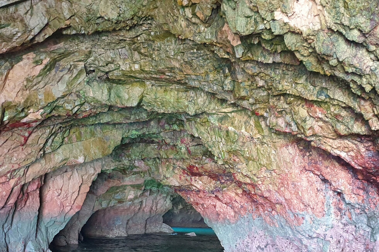 Peniche: Berlengas Roundtrip and Glass-Bottom Boat Cave Tour Glass-Bottom Boat Tour with Afternoon Ferry