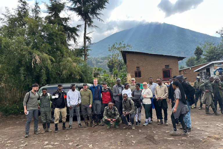 1-Day Rwanda Gorilla Trekking Volcanoes National Park