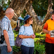 Darwin: WWII Reflections