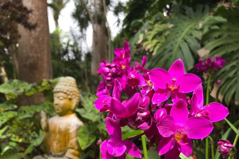 Barbados: Hunte&#039;s Garden, Ateliers für Kunsthandwerk und Strand Tour