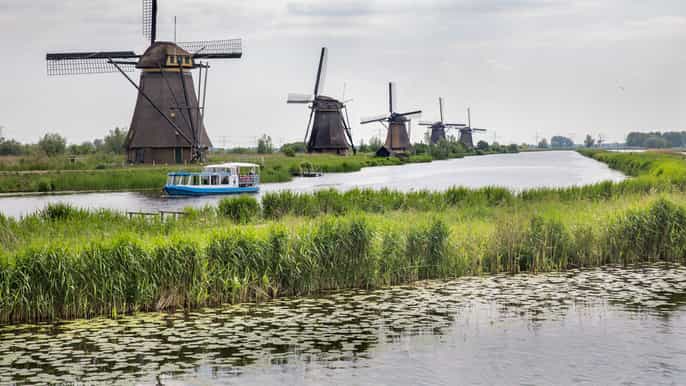 from amsterdam private tour of utrecht kinderdijk gouda