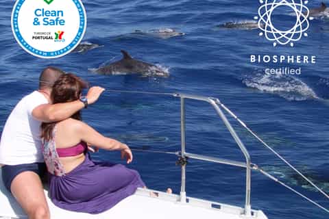 from funchal land and sea jeep and dolphins tour