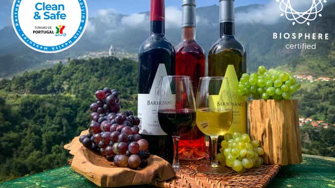 madeira nature wine 4x4 tour from funchal or caniço
