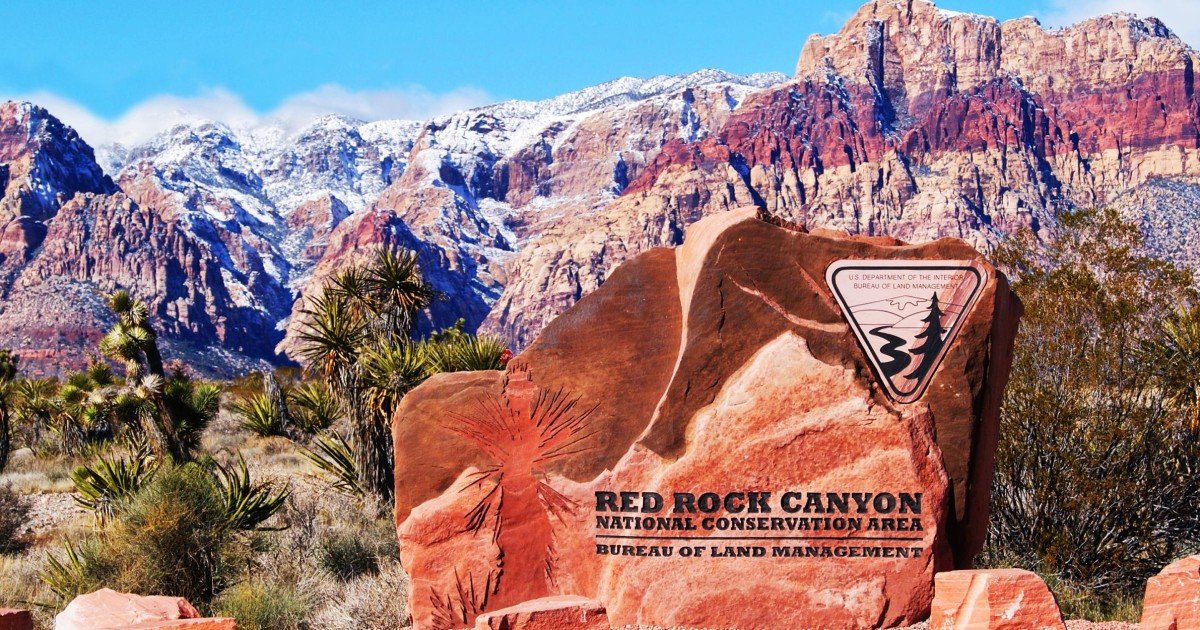 Las Vegas tour guiado del cañón Red Rock GetYourGuide