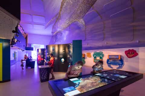 Exmouth: Ningaloo Centre Aquarium Skip-The-Line Admission