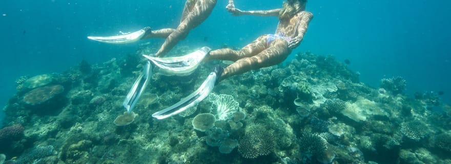 Townsville et Magnetic Island : excursion de snorkeling dans la barrière de corail
