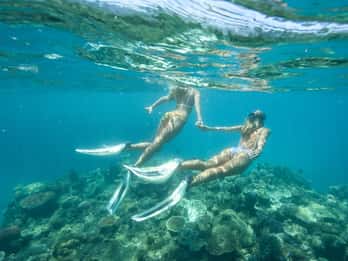 Townsville: Great Barrier Reef Trip mit Schnorchel oder Tauchen Townsville: Great Barrier Reef Trip mit Schnorchel oder Tauchen