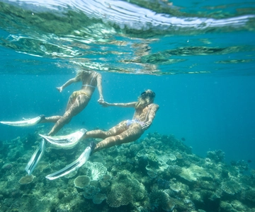 Townsville ou Magnetic Island: Viagem de 1 dia à Grande Barreira de Coral