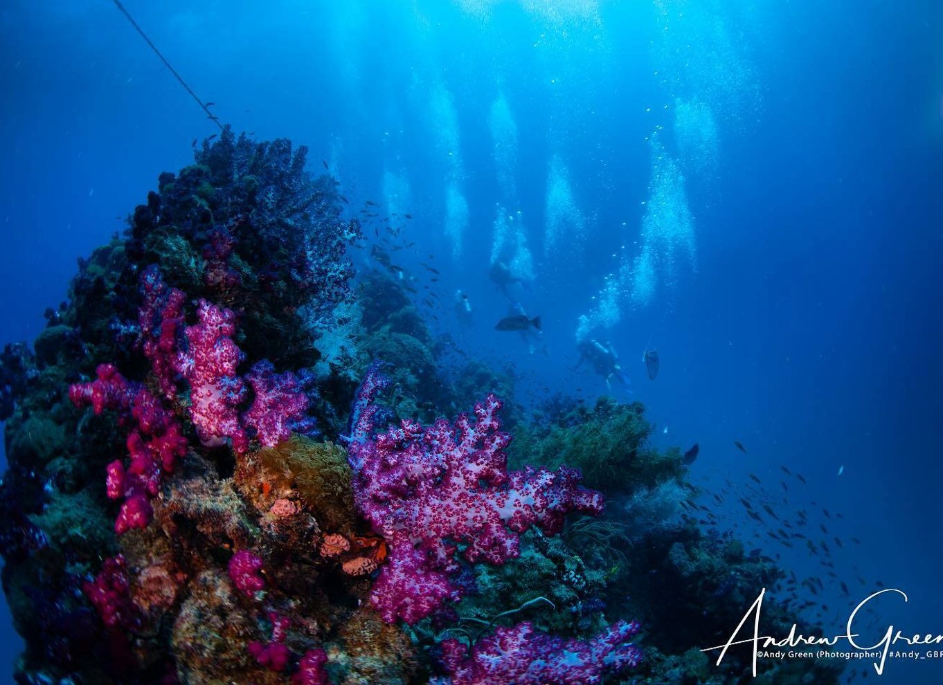 Townsville eller Magnetic Island: Yongala Wreck Dive dagsudflugt