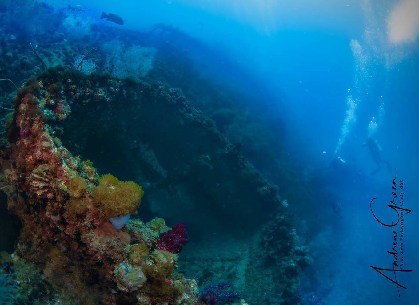 Townsville eller Magnetic Island: Yongala Wreck Dive dagsudflugt