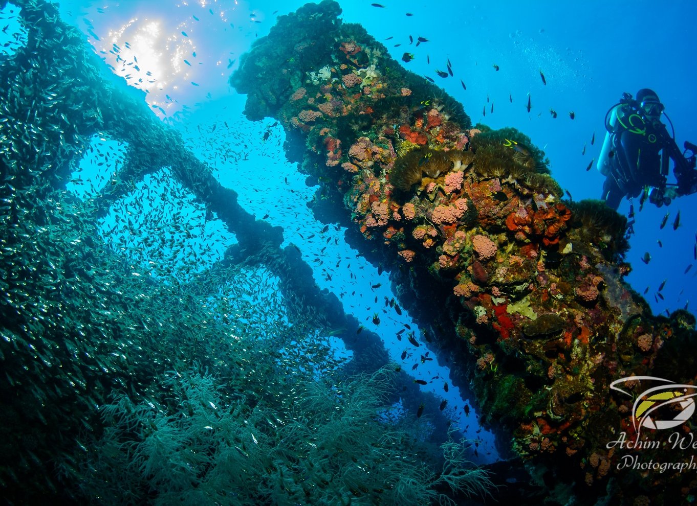 Townsville eller Magnetic Island: Yongala Wreck Dive dagsudflugt