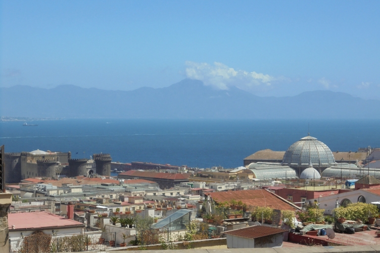 Napels: dagtour naar Napels, Pompeii en de VesuviusFranse tour met ophalen van de haven