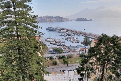 Neapel: Ganztagestour durch Neapel, Pompeji und den VesuvSpanische Tour mit Port Pickup