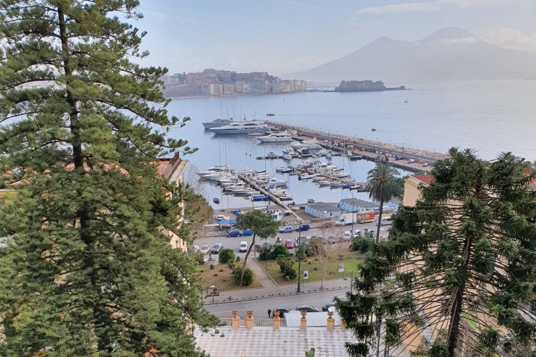 Nápoles: tour de día completo a Nápoles, Pompeya y VesubioTour francés con recogida en el puerto