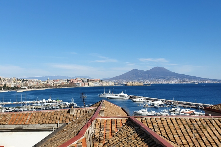 Naples: Naples, Pompeii, and Vesuvius Full-Day Tour French Tour with Port Pickup