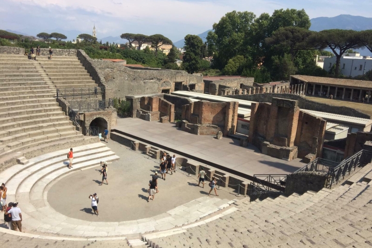 Napels: dagtour naar Napels, Pompeii en de VesuviusFranse tour met ophalen van de haven