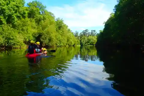 Viana do Castelo: Passeio de Kayak no Rio Lima