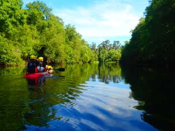 Viana do Castelo: Passeio de Kayak no Rio Lima