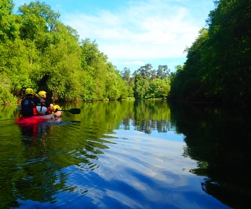 Viana do Castelo: Excursión en Kayak por el Río Lima