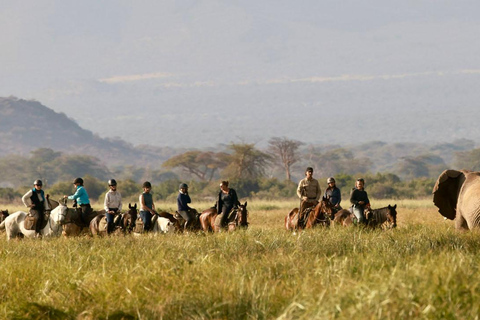 Morning Horse Ride at Dolly Estate: Wildlife &amp; Scenic Views