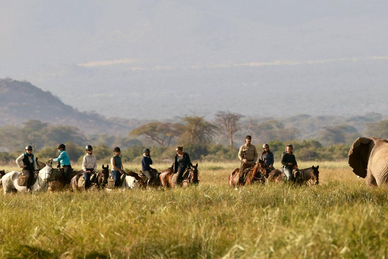 Morning Horse Ride at Dolly Estate: Wildlife & Scenic Views