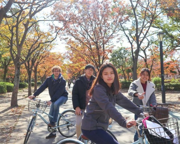 Osaka: Guided City Highlights Bike Tour with Lunch