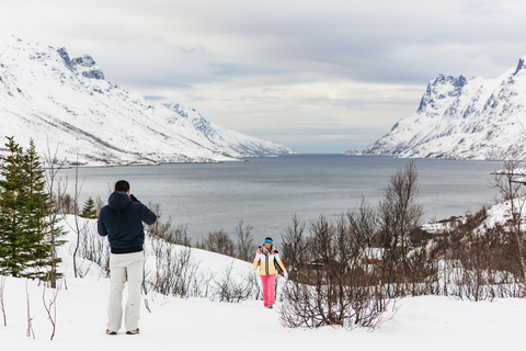 Tromsø: Paisagem ártica e passeio pelos fiordes com lanches