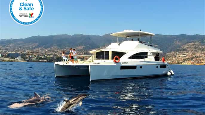 tour deluxe allinclusive con avvistamento balene e delfini