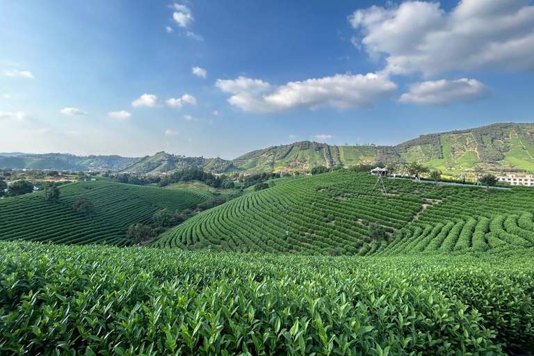 Shanghai: West Lake Hills & Tea Gardens Private Day Trip
