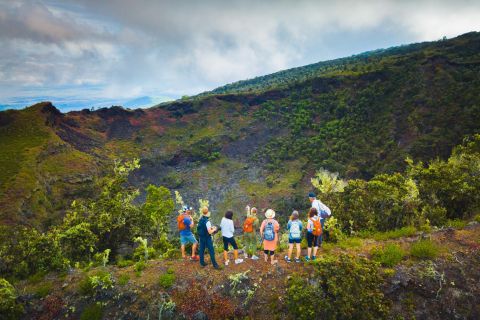 Big Island: Private Hidden Craters Hiking Tour