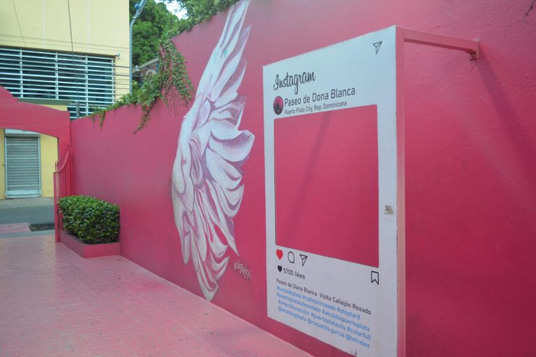 普拉塔港：从泰诺湾/安伯湾出发的猴子之旅和城市之旅普拉塔港：塔伊诺湾/安伯湾的猴子之旅和城市之旅