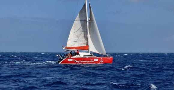 Fuerteventura: Lobos Island Catamaran Cruise with Lunch
