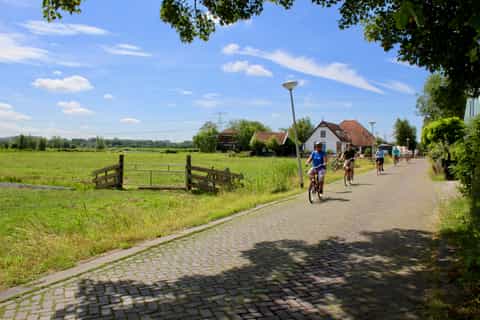amsterdam waterland and fishermens villages biking tour