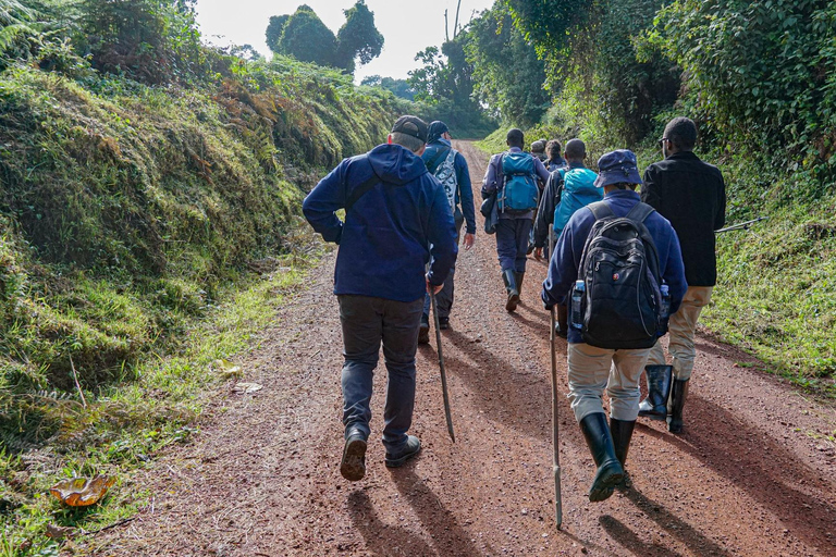 Ouganda : 19 jours de visite de la faune, des paysages et de la cultureCircuit de luxe de 19 jours pour découvrir la faune, les paysages et les cultures de l&#039;Ouganda