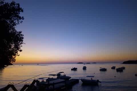Vrsar: 2-Hour Dolphin Watching Tour including Drinks