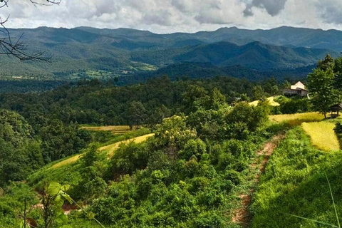 Chiang Mai: Jungle Trek, Elephants care & Bamboo Rafting