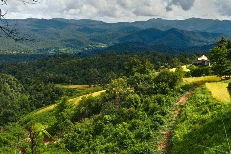 Chiang Mai: Jungle Trek, Elephants care & Bamboo Rafting