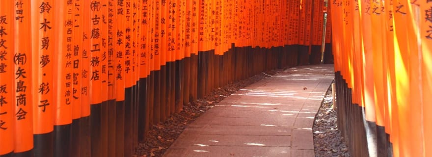 Kyoto : Immersion à Arashiyama et Fushimi Inari en voiture privée