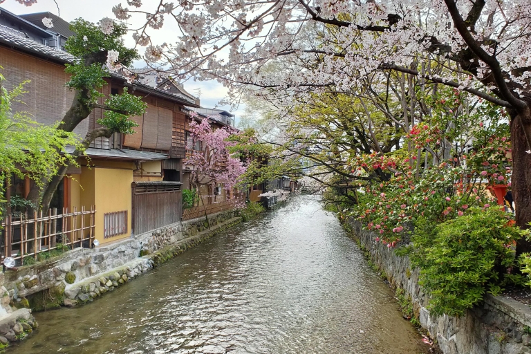 Desde Osaka: tour privado de día completo a KiotoTour de 8 horas