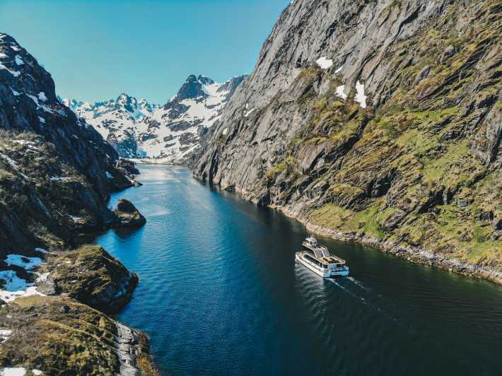 Isole Lofoten: crociera sul Trollfjord in barca silenziosa