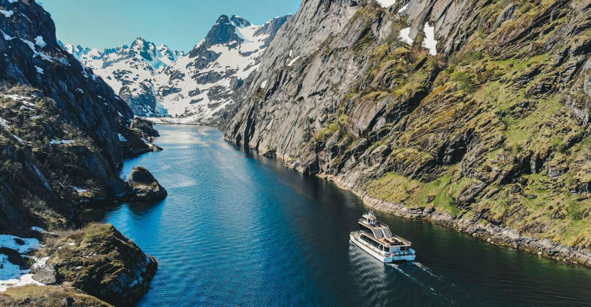 Lofoten: Båttur i Trollfjorden med en stille, elektrisk båt