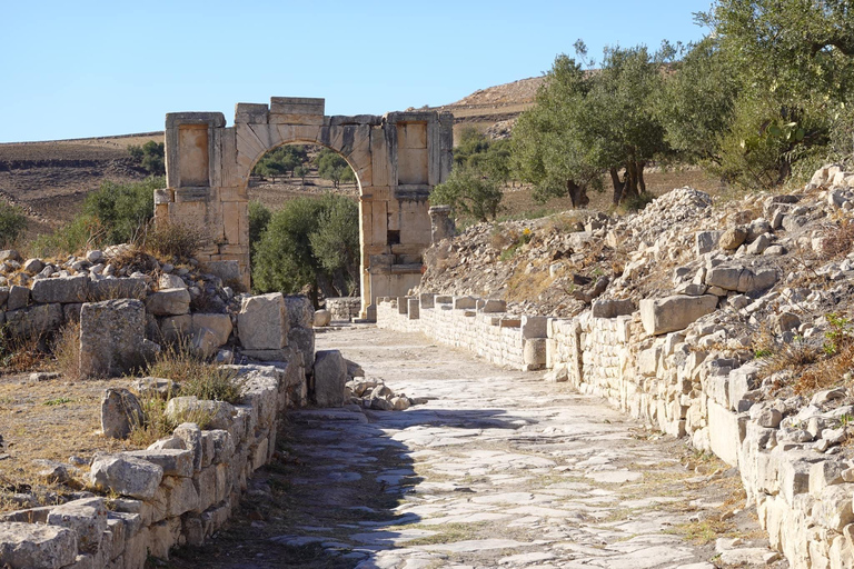 Private tour of Dougga and Testour