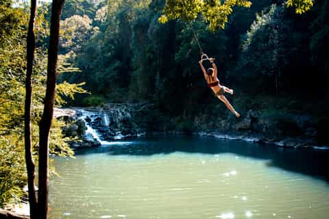 sunshine coast hinterland tour with snacks and drinks