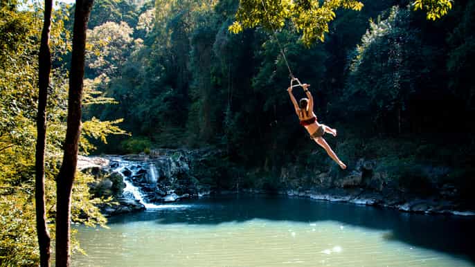 sunshine coast hinterland tour with snacks and drinks