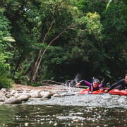 Mossman Gorge: Day Tour with River Drift Experience
