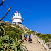 Cidade do Cabo: Excursão de 2 dias à Península do Cabo e ao Cabo Agulhas