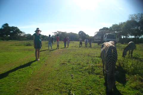 Coron: Calauit Safari Abenteuer